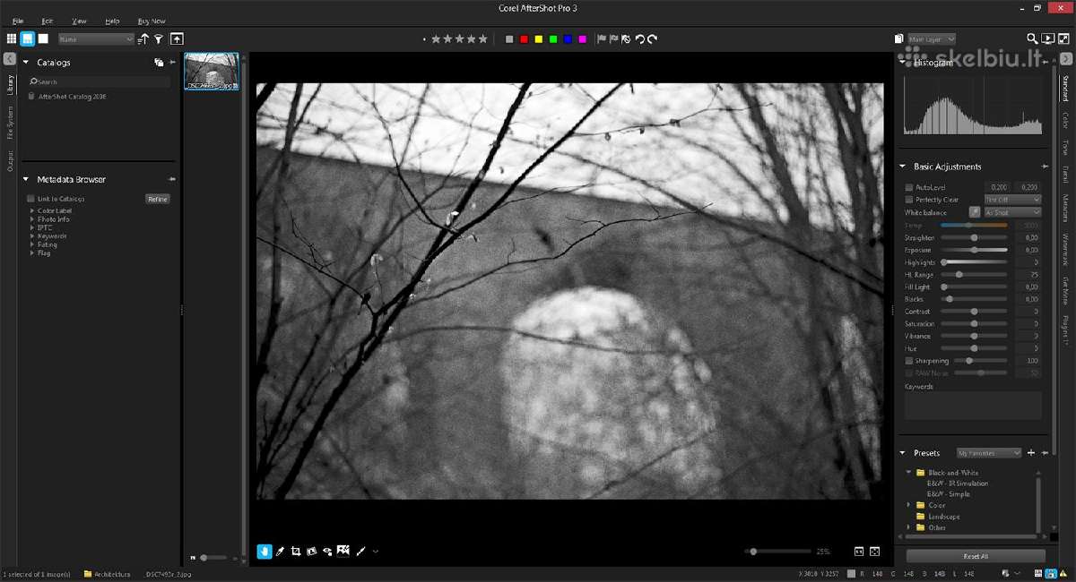 Corel Aftershot Pro 3 savarankiška dėžutė - nuotraukos Nr. 3