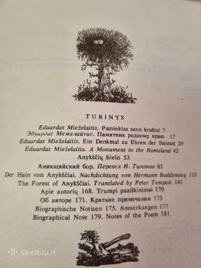 Anykščių šilelis - nuotraukos Nr. 5