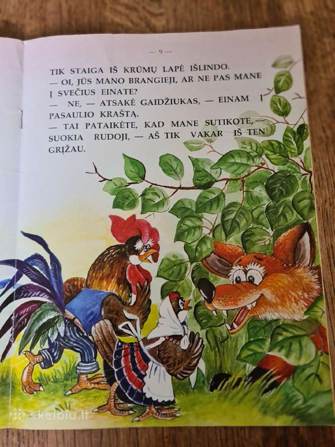 Kelionė į pasaulio kraštą - nuotraukos Nr. 6