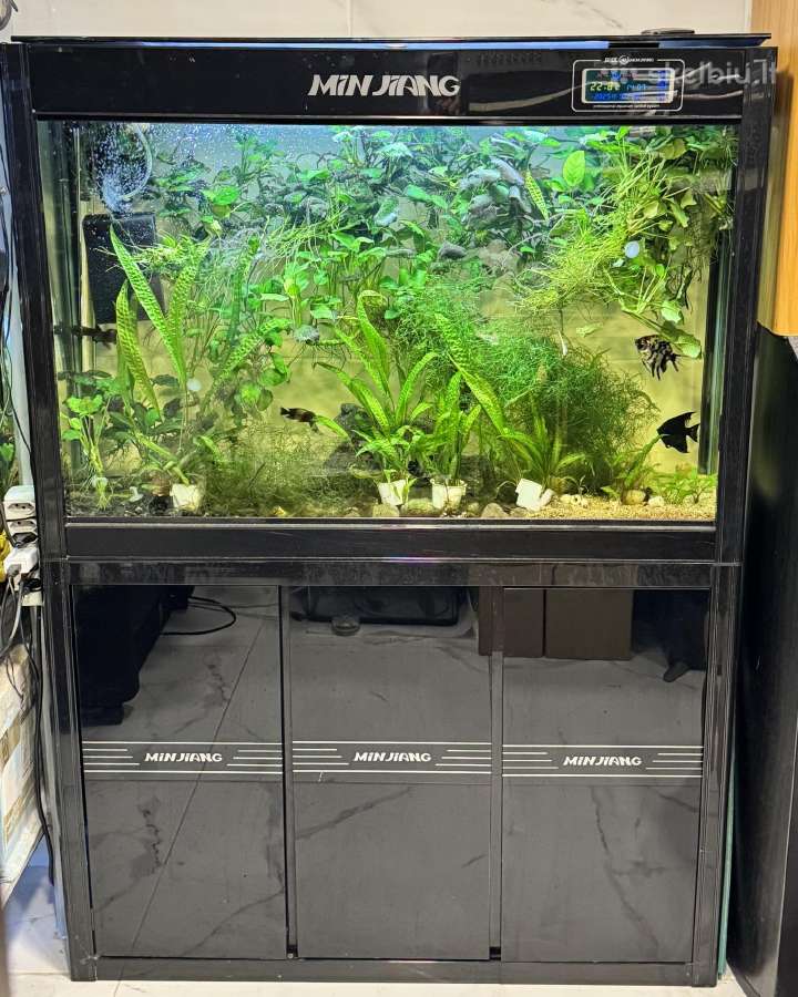 Akvariumas 170 ltr. 142x102x30cm