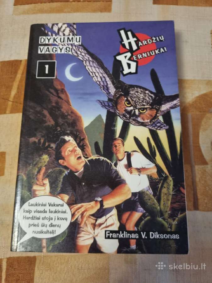 Hardžių berniukai 1 ir 2 knyga - nuotraukos Nr. 2