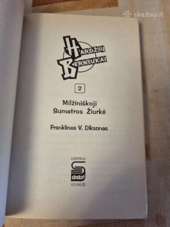 Hardžių berniukai 1 ir 2 knyga - nuotraukos Nr. 6