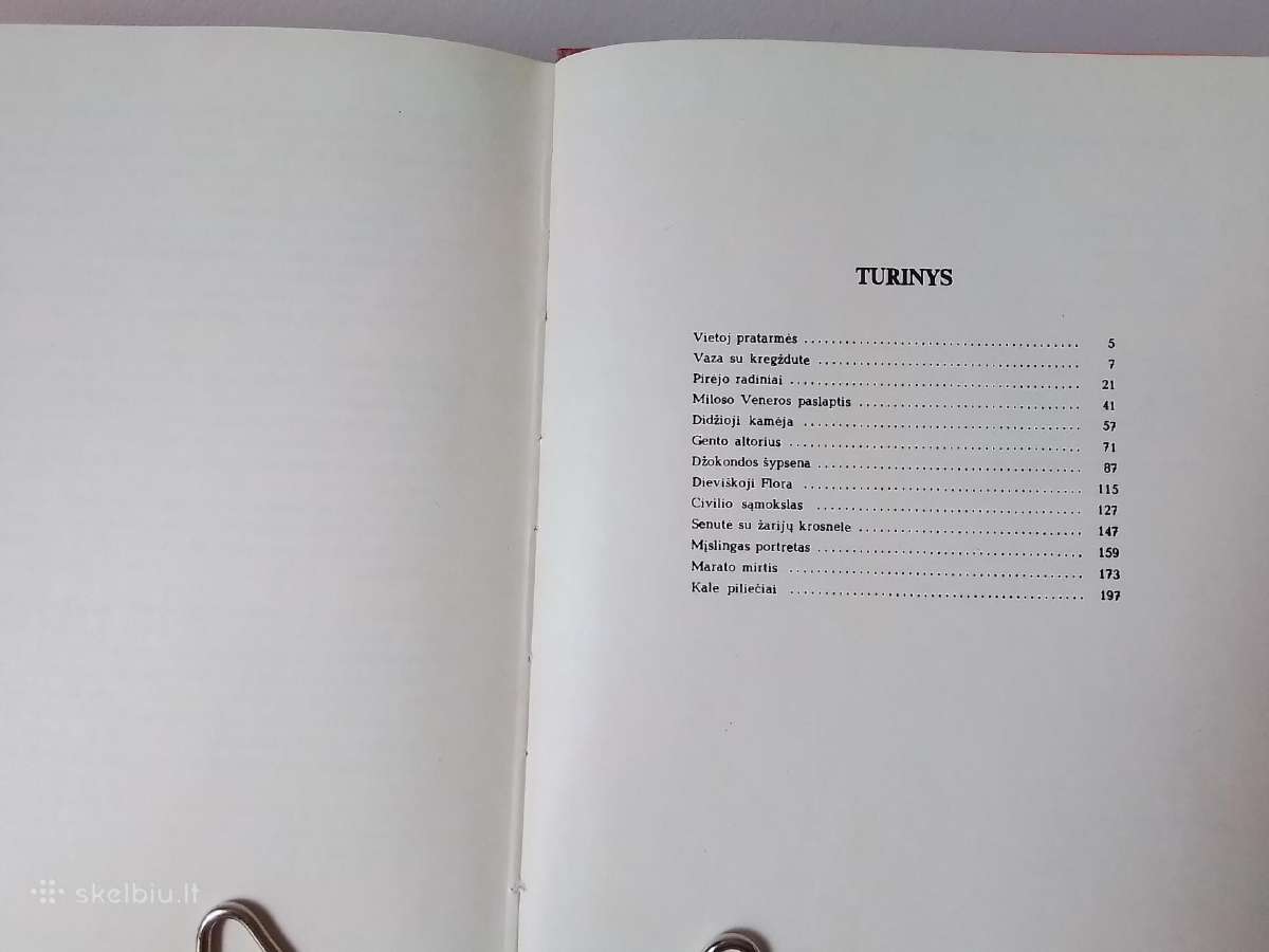 Vaza su kregždute - nuotraukos Nr. 7