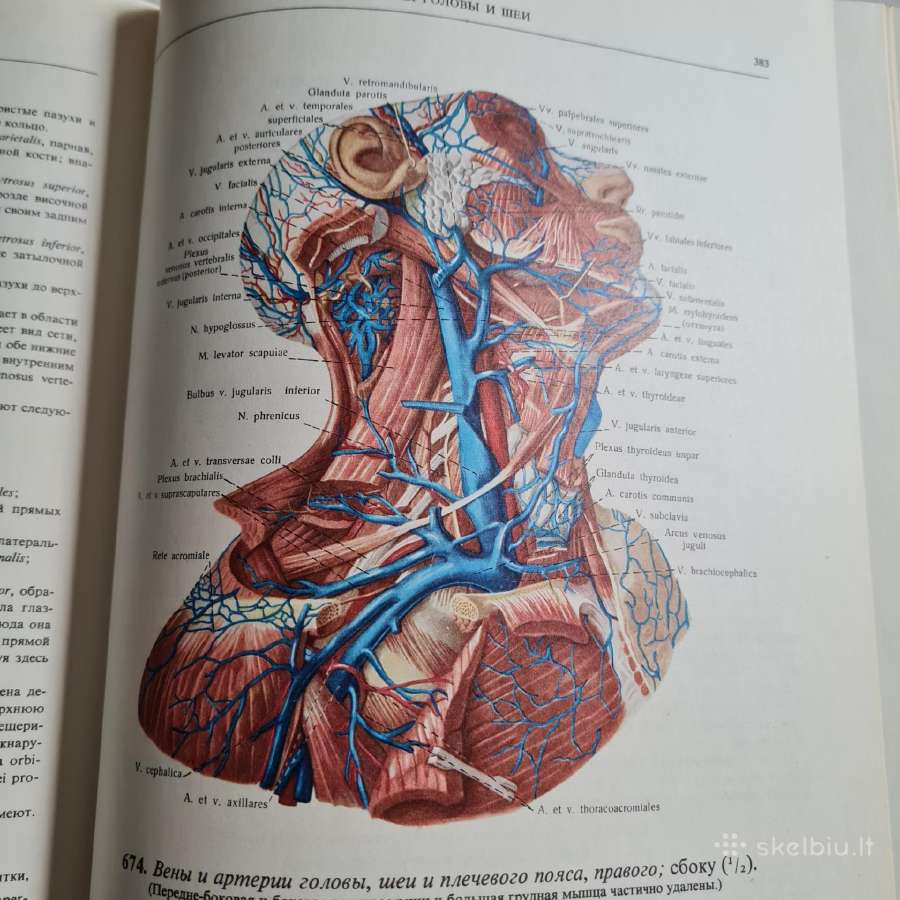 Žmogaus Anatomijos Atlasas - nuotraukos Nr. 6