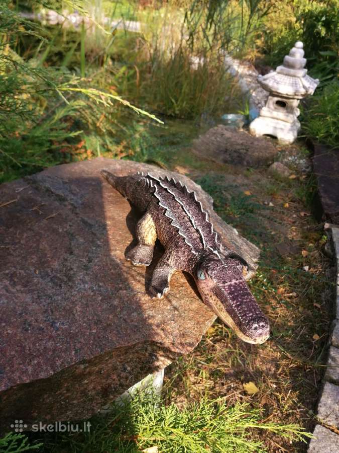 Žaislas