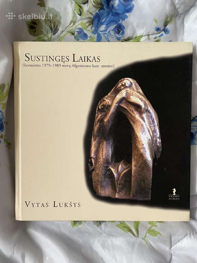 Knyga Sustingęs laikas