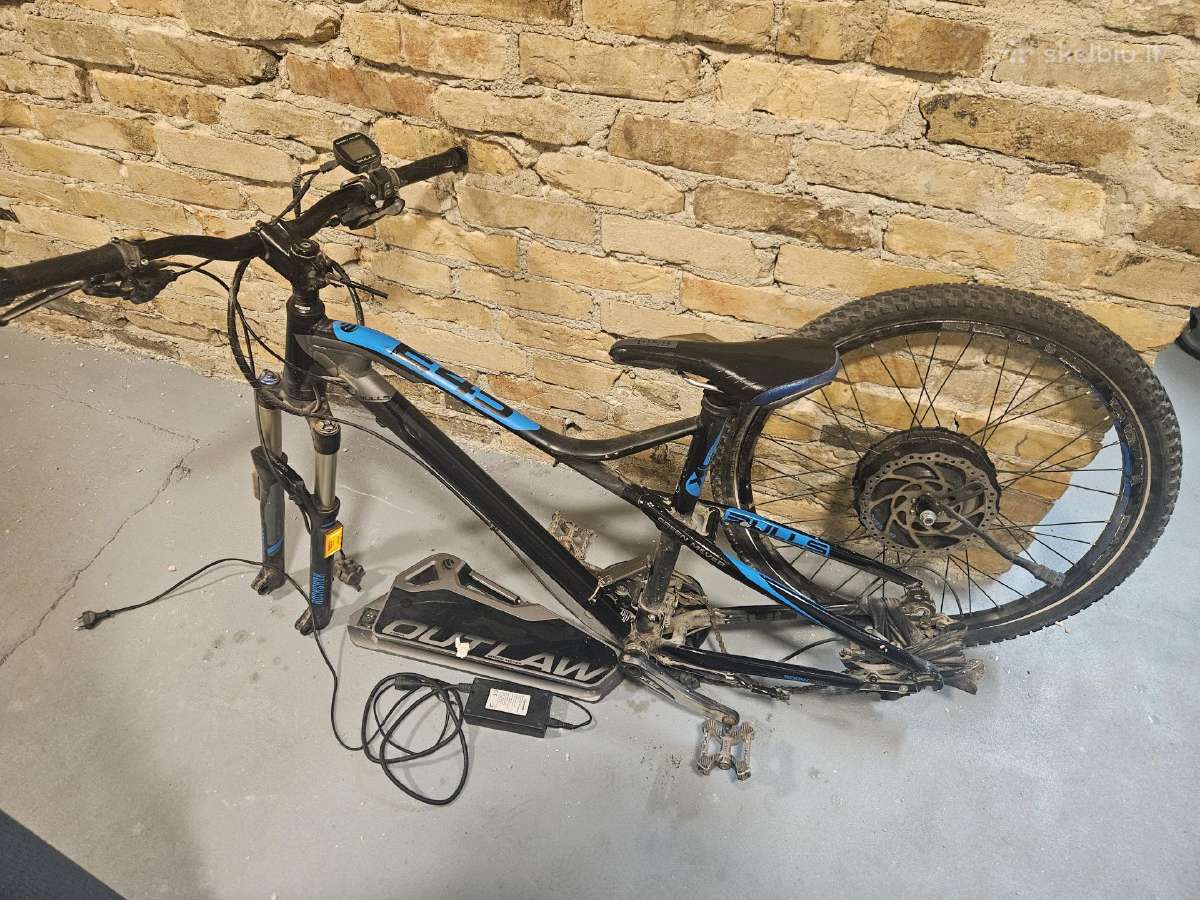 Bulls Green Mover E45 Outlow - E-bike - nuotraukos Nr. 4