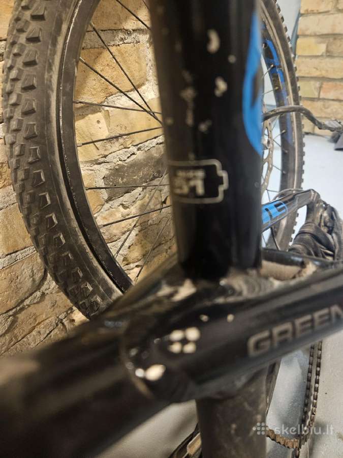 Bulls Green Mover E45 Outlow - E-bike - nuotraukos Nr. 12
