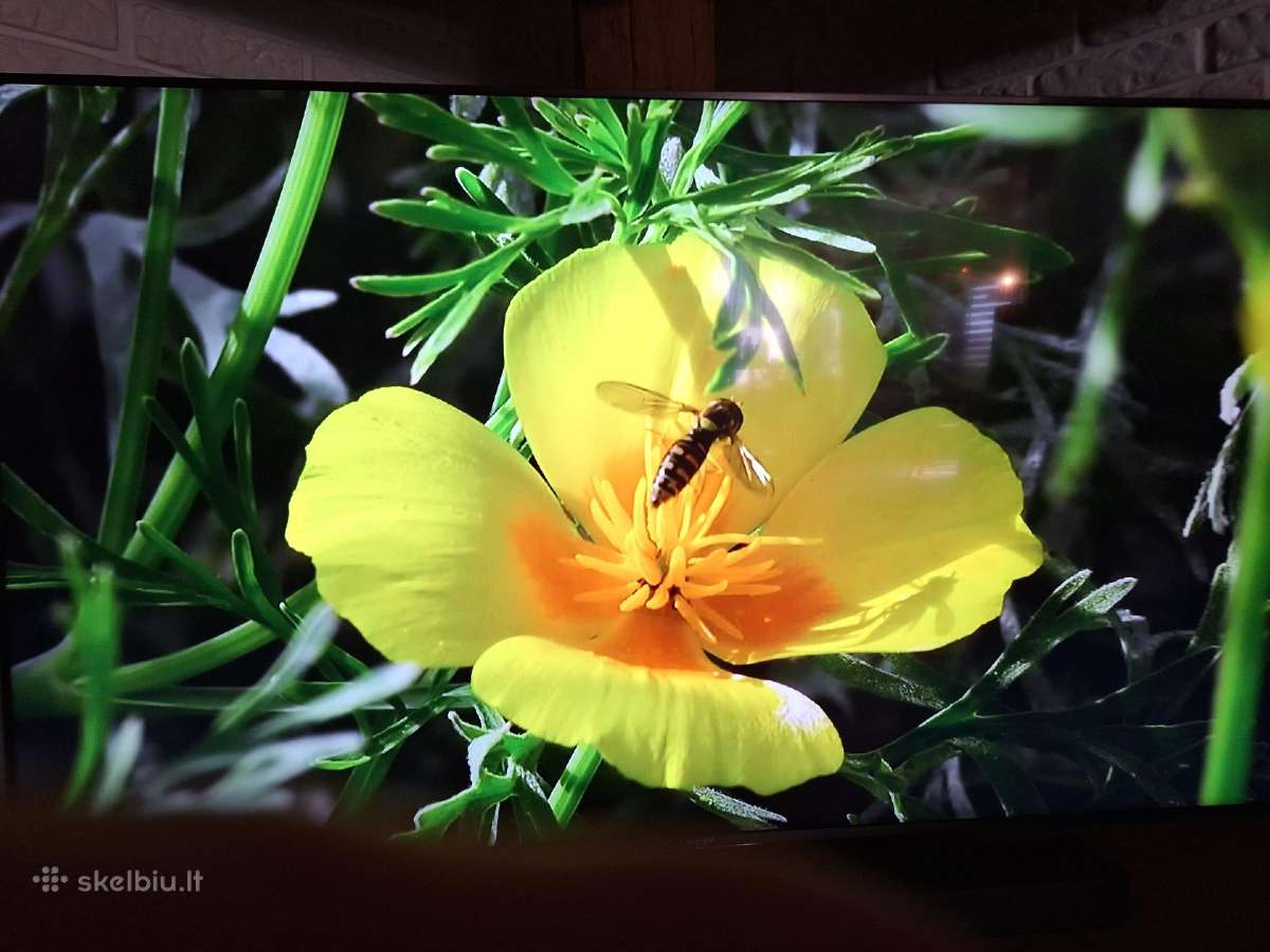 Parduodu televizorių Sony Bravia 4k GB Atv3 "65" - nuotraukos Nr. 3