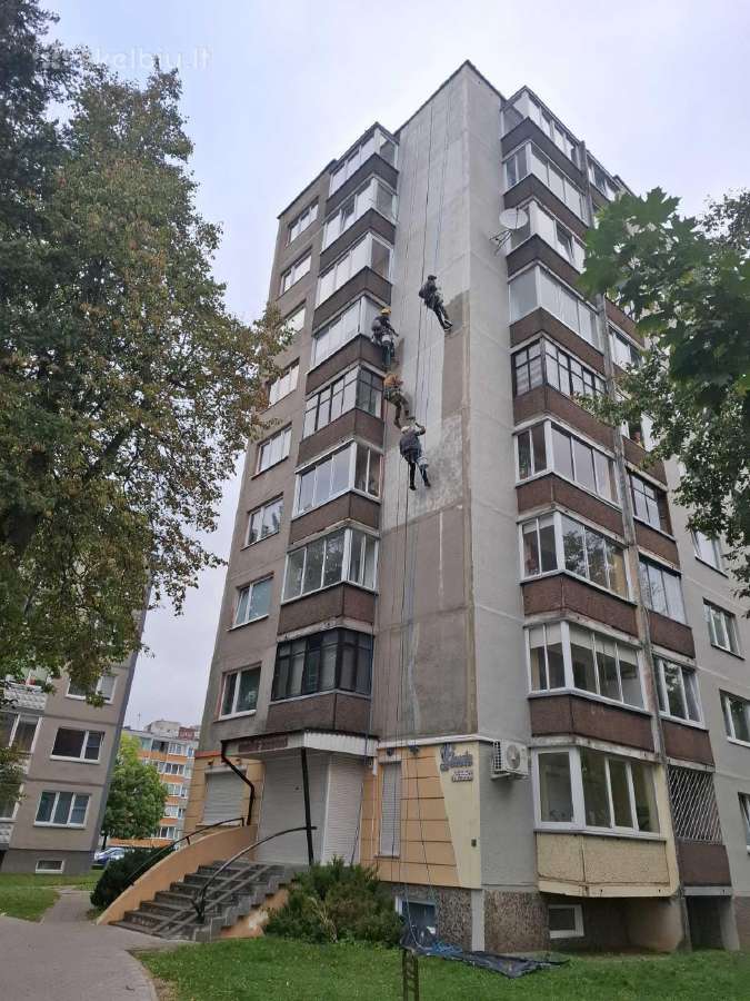 Reikalingi aukštalipiai - nuotraukos Nr. 7