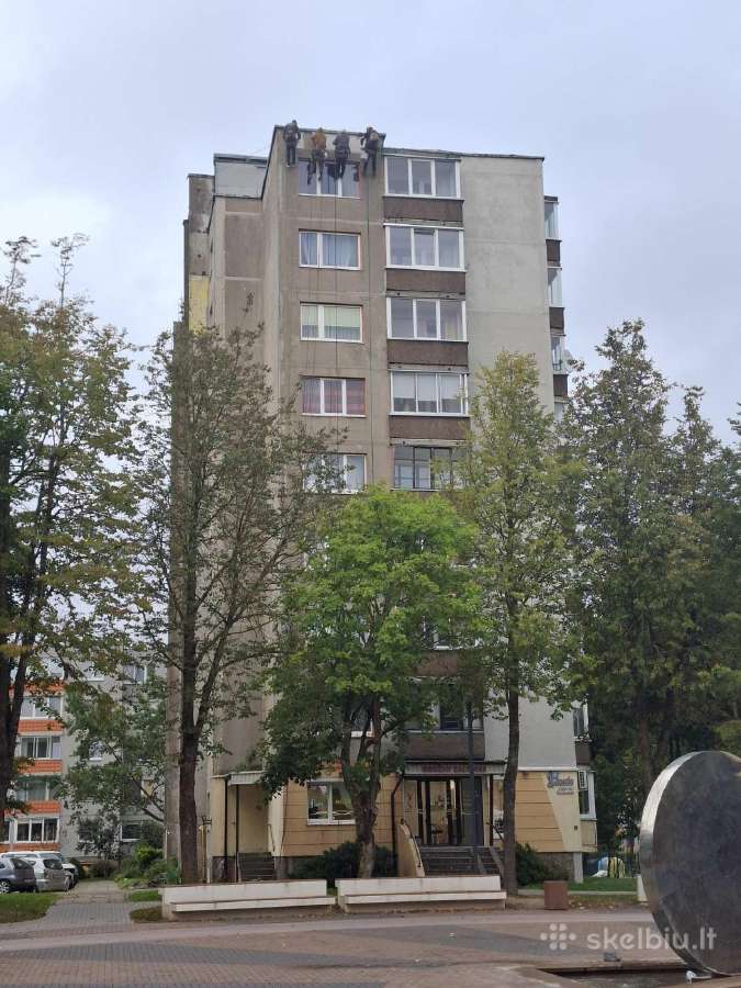 Reikalingi aukštalipiai - nuotraukos Nr. 8