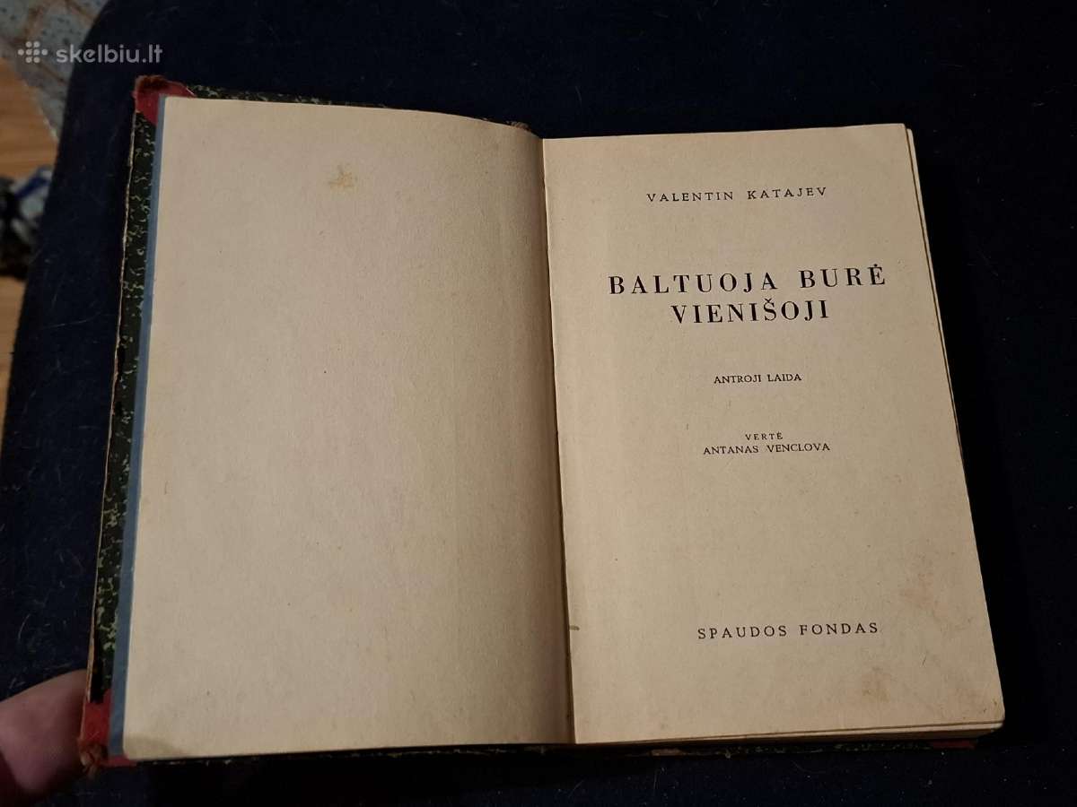 Baltuoja burė vienišoji - nuotraukos Nr. 3