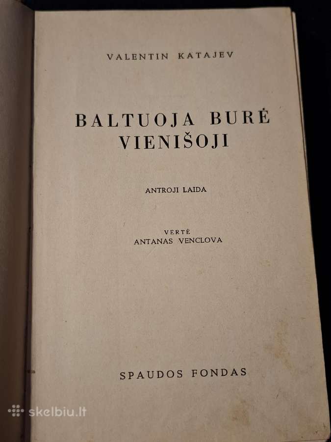 Baltuoja burė vienišoji - nuotraukos Nr. 4