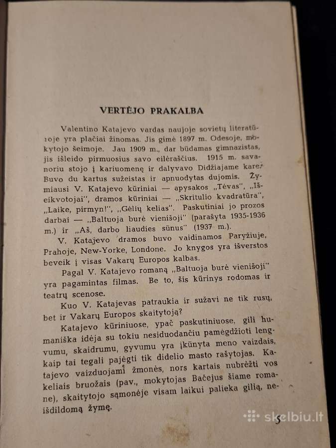 Baltuoja burė vienišoji - nuotraukos Nr. 6