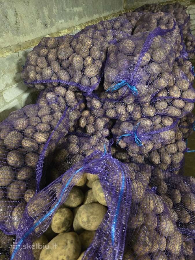 Parduodu sviežias Vineta bulves - nuotraukos Nr. 5