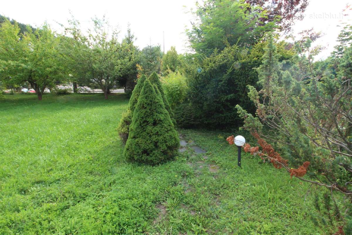 Žalioji elegancija namams - nuotraukos Nr. 11