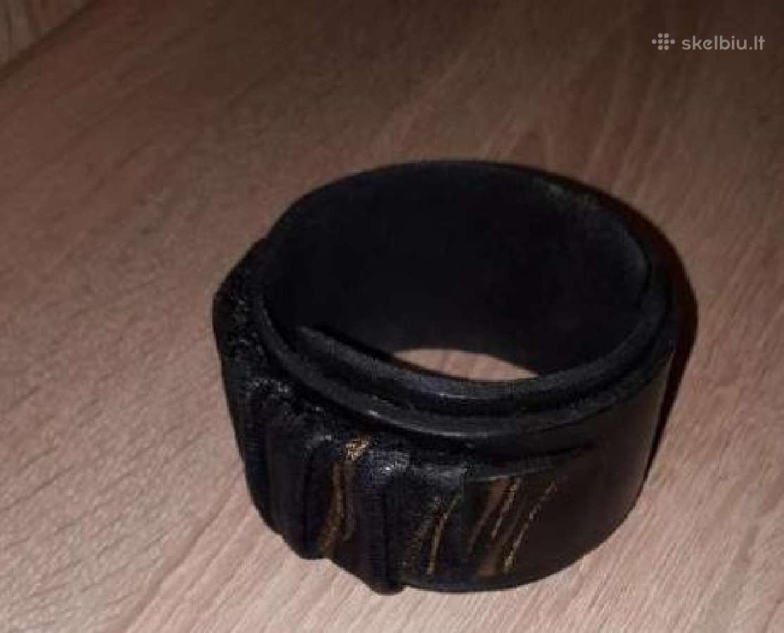 Odinės segė ir apyrankė