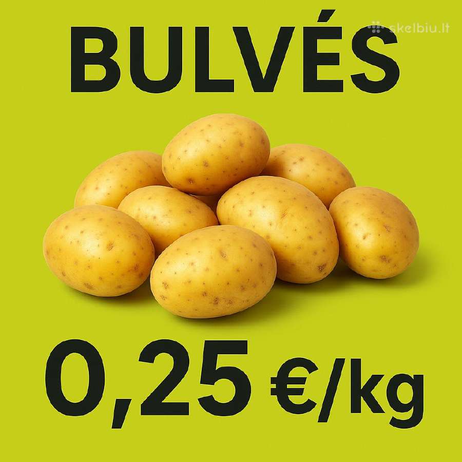 Bulvės - nuotraukos Nr. 7