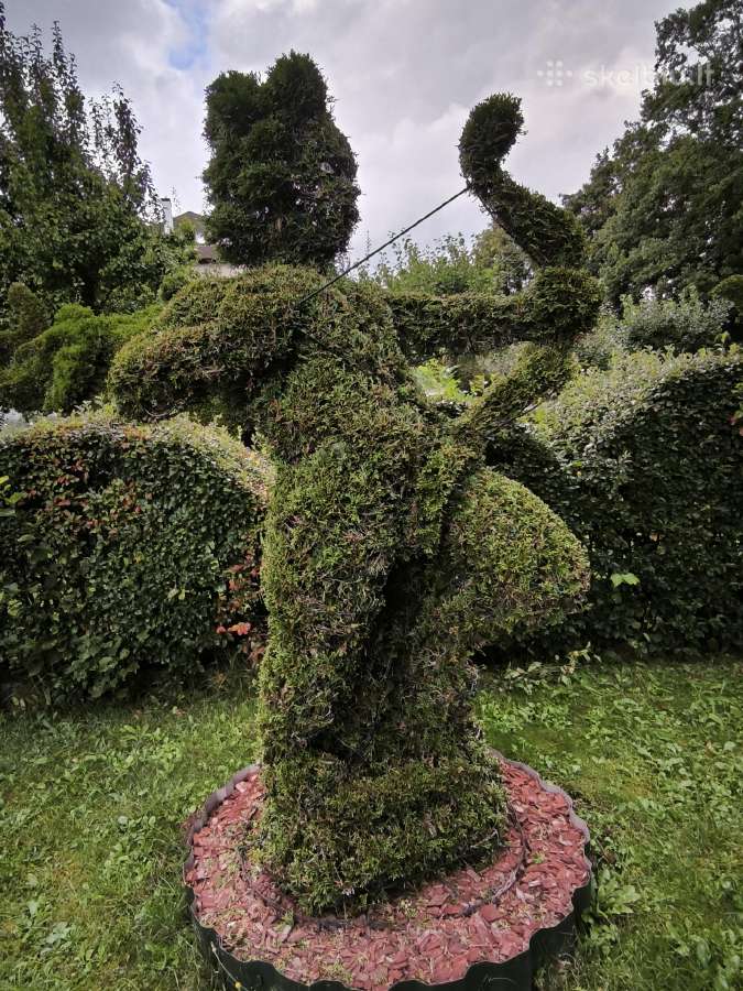 Augalų Skulptūros (Topiary), rėmai - nuotraukos Nr. 9