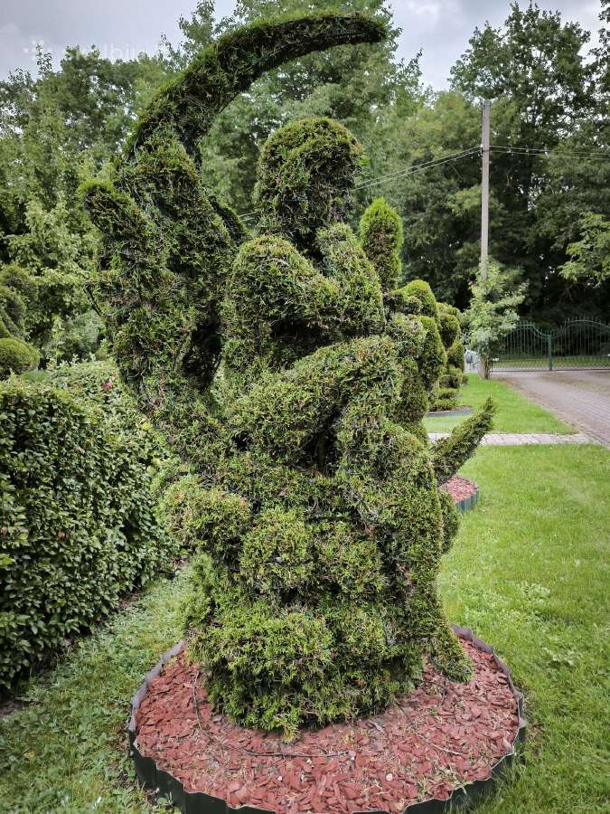 Augalų Skulptūros (Topiary), rėmai - nuotraukos Nr. 8
