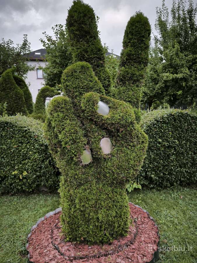 Augalų Skulptūros (Topiary), rėmai