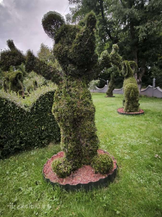 Augalų Skulptūros (Topiary), rėmai - nuotraukos Nr. 10