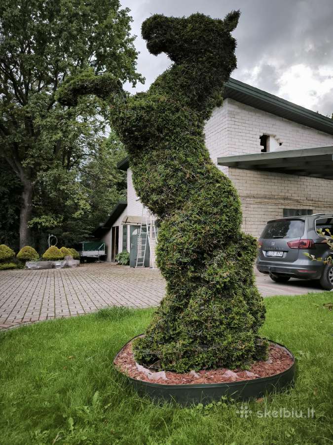 Augalų Skulptūros (Topiary), rėmai - nuotraukos Nr. 3