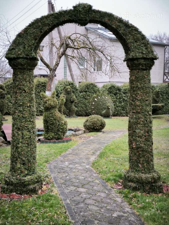 Augalų Skulptūros (Topiary), rėmai - nuotraukos Nr. 5