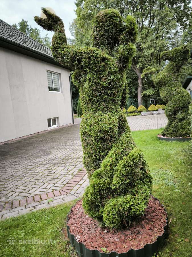 Augalų Skulptūros (Topiary), rėmai - nuotraukos Nr. 12