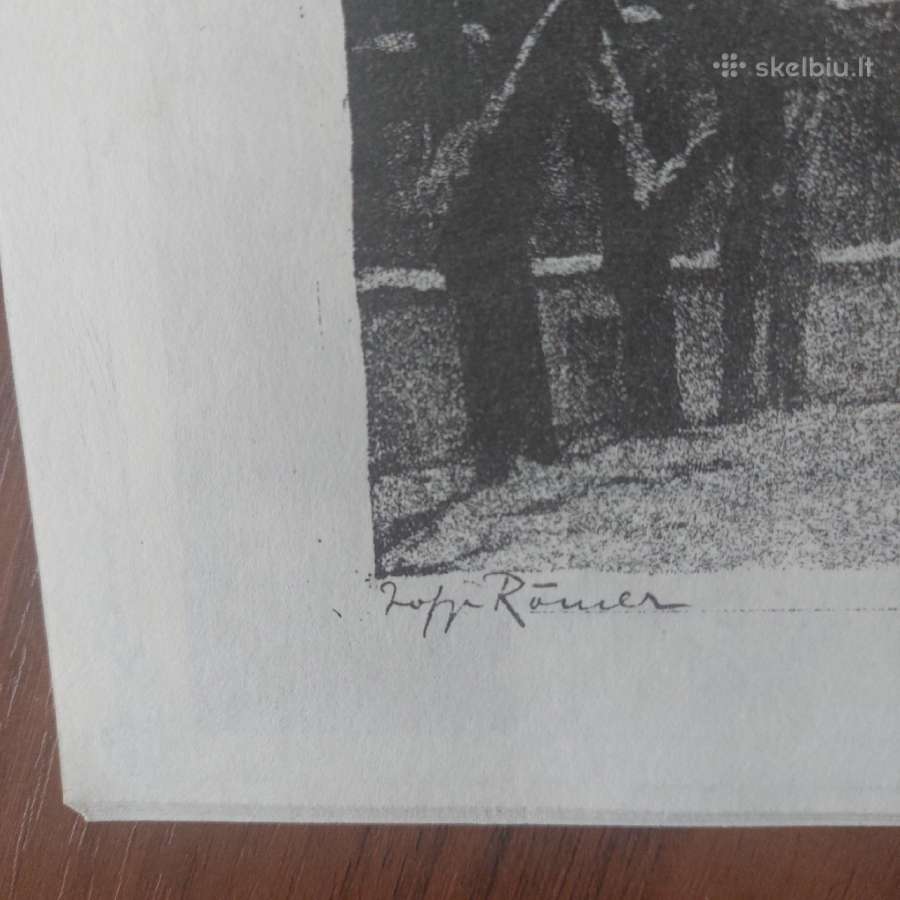 Parduodu vokiška odini viršelį knygai - nuotraukos Nr. 12
