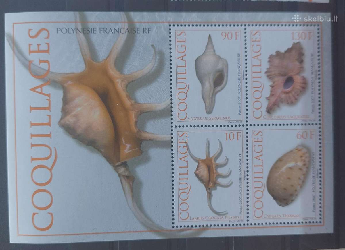 Prancūzijos Polinezija 2007 kriaukles ,švarus Mic