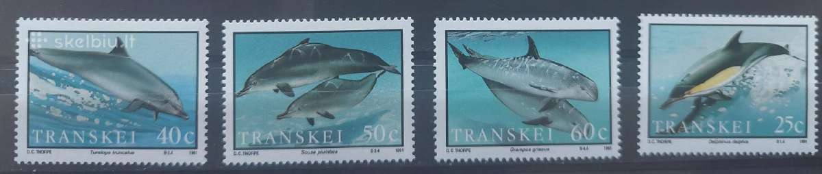 Transkei (Bantustanas) 1991 delfinai , švarūs Mich