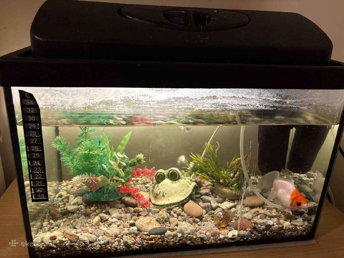 Akvariumas
