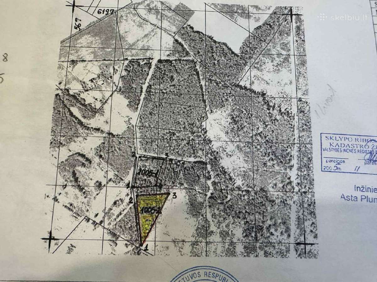 Parduodu 2 greta esančius miškus, bendrai 2,35 ha - nuotraukos Nr. 3