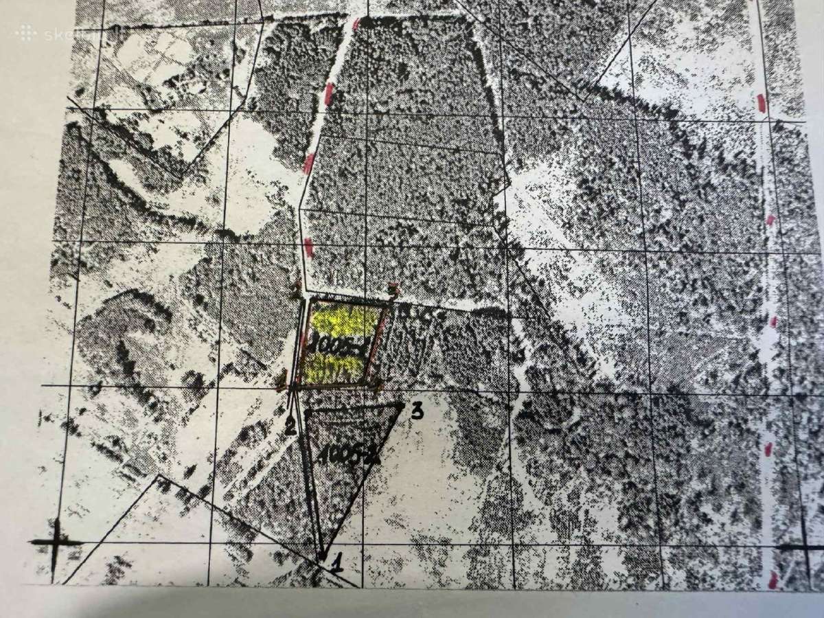 Parduodu 2 greta esančius miškus, bendrai 2,35 ha - nuotraukos Nr. 4