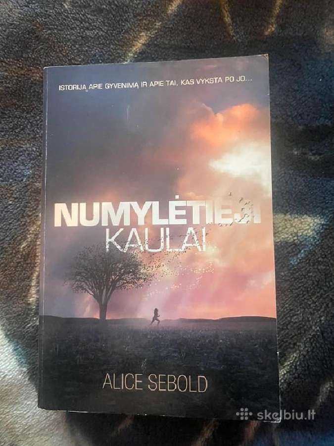 Knygos - nuotraukos Nr. 27