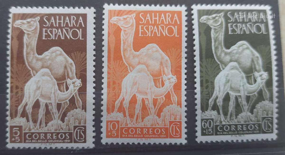 Ispanijos Sachara 1951 kupranugariai , švarūs Mich