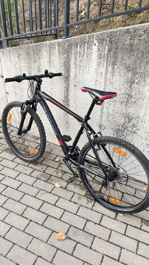Muddyfox Anarchy 100 kalnų dviratis