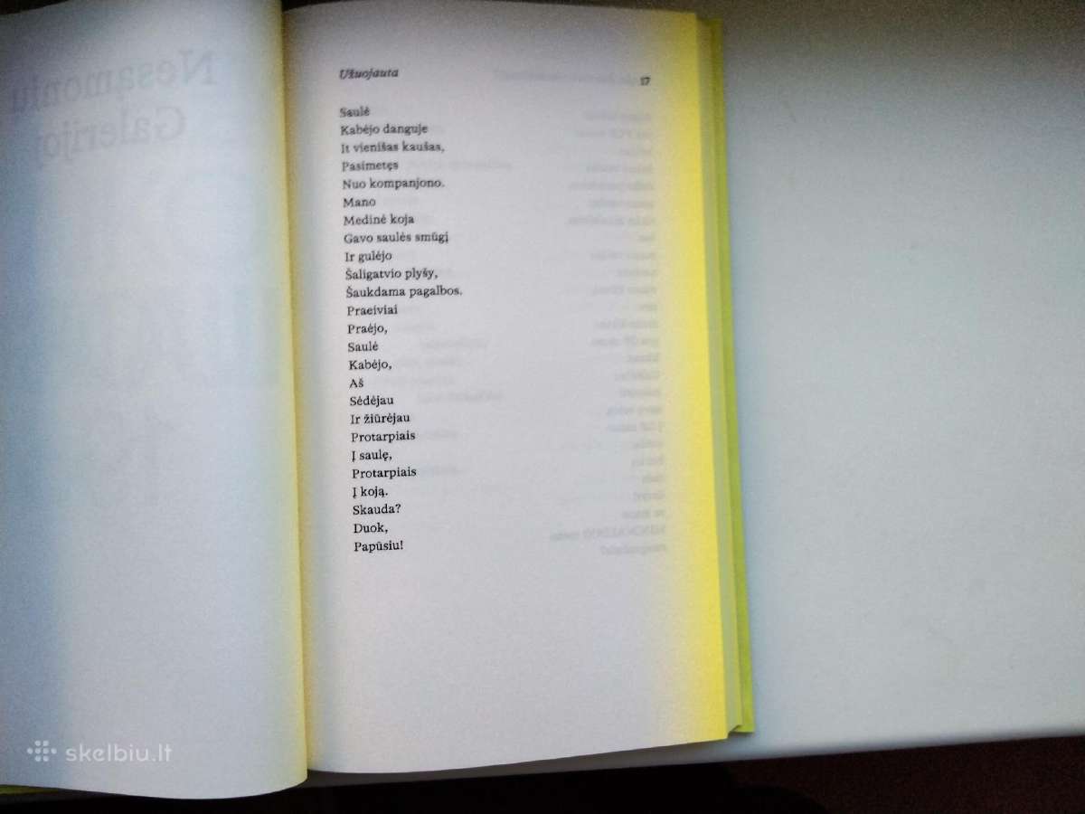 R. Vėžys. Prieš metus aš buvau citrina - nuotraukos Nr. 7