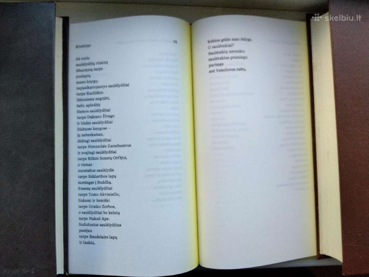 R. Vėžys. Prieš metus aš buvau citrina - nuotraukos Nr. 9