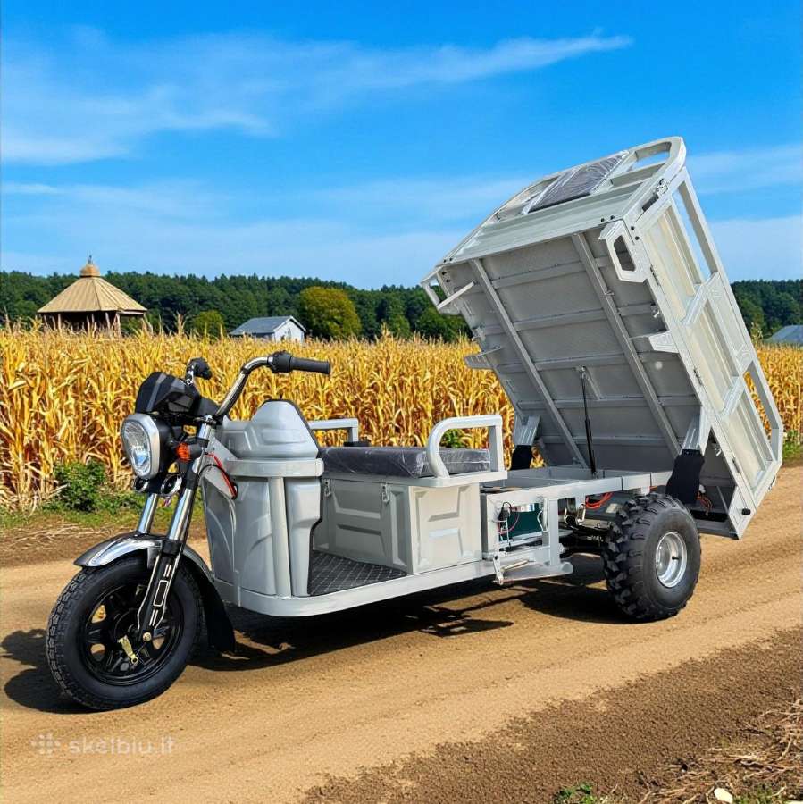 Elektrinis krovininis triratis motoroleris SL-06 - nuotraukos Nr. 2