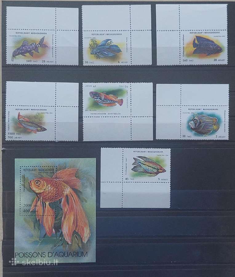 Madagaskaras 1994 akvariumo žuvys , švarūs Michel