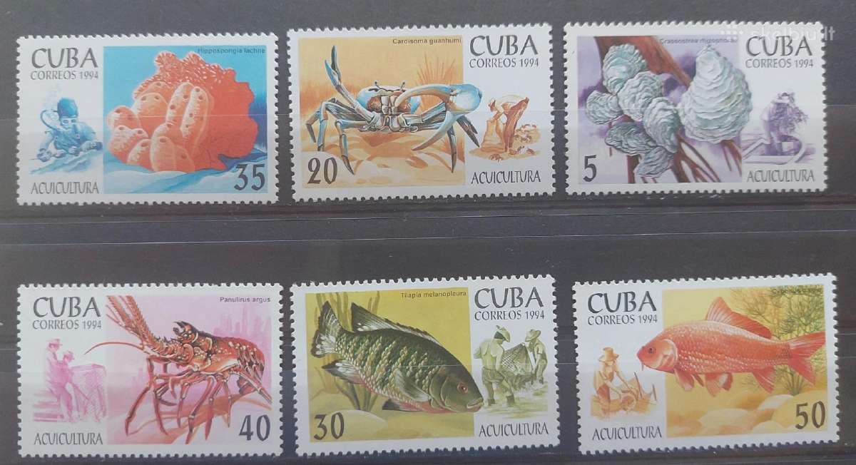 Kuba 1994 jūros fauna , švarūs Michel 3749-3754