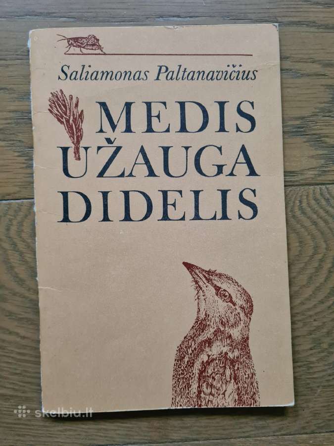 Medis užauga didelis (Saliamonas Paltanavičius)