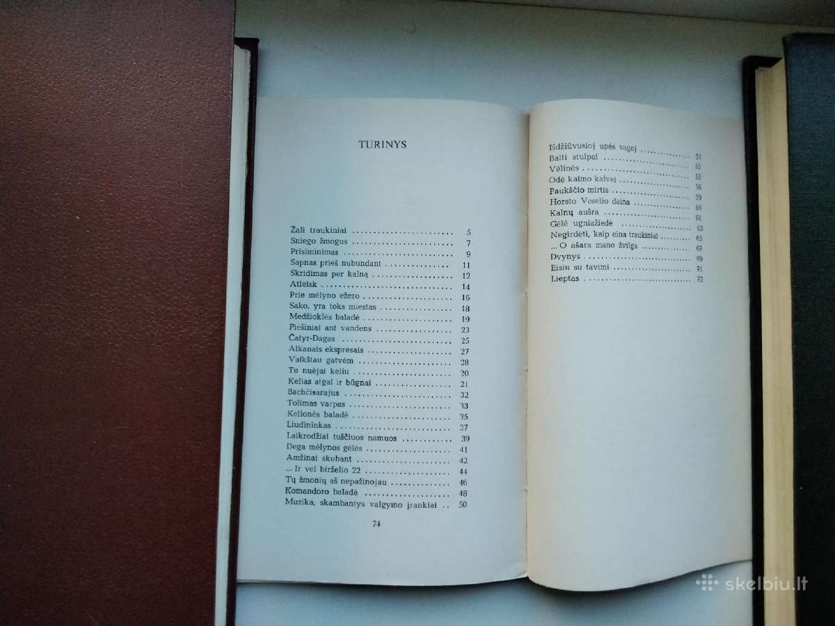 A. Bukontas. Piešiniai ant vandens. 1972 m. leid. - nuotraukos Nr. 7