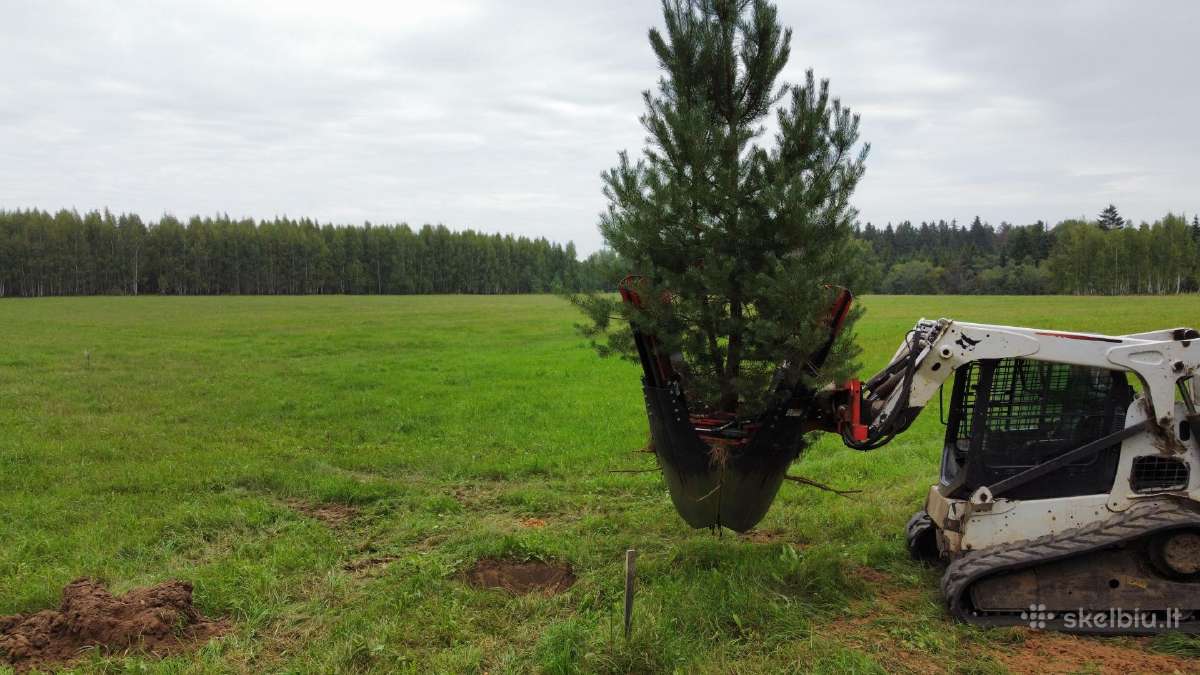Apleistų sklypų tvarkymas, teritorijų tvarkymas - nuotraukos Nr. 34
