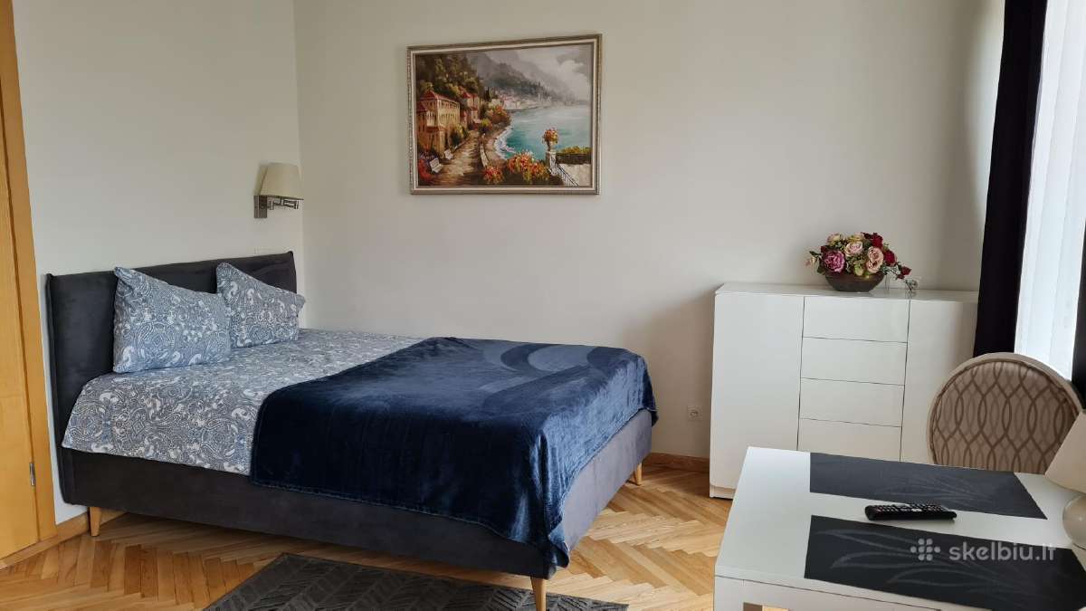 Studiju nuoma šalia Kliniku (Lsmu)