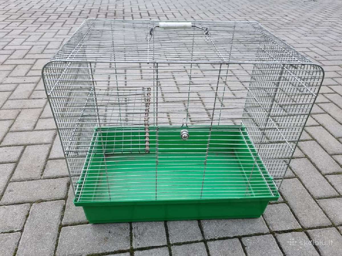Narvelis graužikui