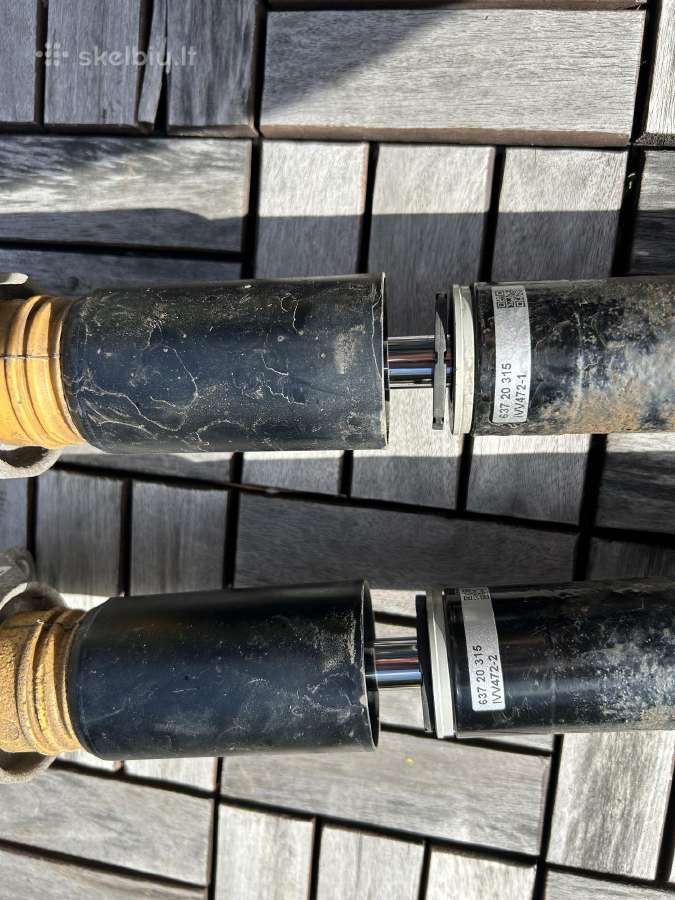 Coiloweriai F39, F44, F45, F46, F48, F54, F60 - nuotraukos Nr. 5