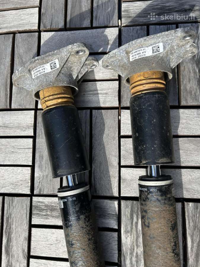 Coiloweriai F39, F44, F45, F46, F48, F54, F60 - nuotraukos Nr. 6